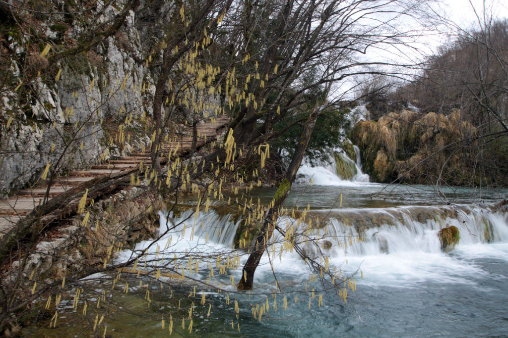 Plitvice waterfalls Carri Bass photography image